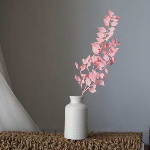 Ruscus aculeatus L.Natural Real Dried Flower Bouquet White Home Wedding Decor DIY Candles Dining Table Decoration Epoxy Resin Candles DIY Floral Materials (Pink) in Saudi Arabia