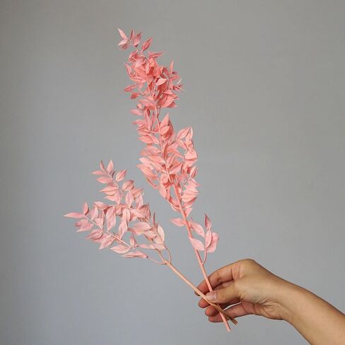 Ruscus aculeatus L.Natural Real Dried Flower Bouquet White Home Wedding Decor DIY Candles Dining Table Decoration Epoxy Resin Candles DIY Floral Materials (Pink) in Saudi Arabia