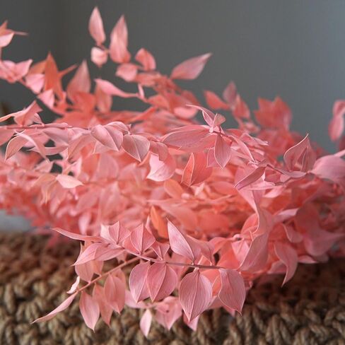 Ruscus aculeatus L.Natural Real Dried Flower Bouquet White Home Wedding Decor DIY Candles Dining Table Decoration Epoxy Resin Candles DIY Floral Materials (Pink) in Saudi Arabia