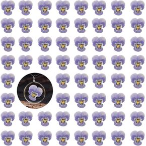 Purple Dried Pansy Flowers for Resin, 60PCS Natural Real Dry Pansy Flower for Resin Jewelry Candle Card Soap Making Scrapbooking DIY Art Crafts Painting Decoration