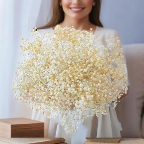 3500+ Dried Babys Breath Flowers Bouquet, Ivory White 17.2'' Real Natural Gypsophila Branches Dried Flowers Bulk for Vase, Wedding, Table Centerpiece Decor, DIY Wreath Floral, Crafts