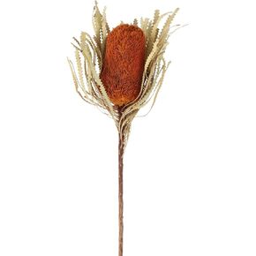 Jumbo Orange Banksia Flower with Dyed Foliage, Natural Preserved Dried Plant for Home Decor Wedding Bouquets DIY Floral Arrangements 2 PCS Pack,12" Length Bud Dia 2.5"-3"