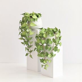 Annie & Panda Pothos & Money Plant مع مجموعة مزهريات من السيراميك - 2 نباتات مزيفة للديكور المنزلي ، والمساحات الخضراء الواقعية في الأواني البيضاء ، أو شاشة الجدار أو عرض الطاولة (بدون صيانة)