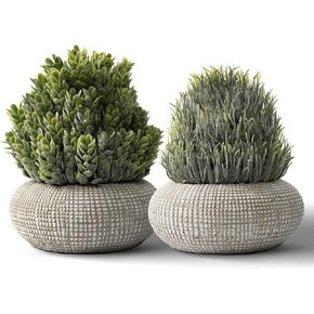2Pack Small Fake Plants 6.1/5.7 Inch, Artificial Plants Indoor in Cement Planter, Faux Plants Indoor for Room Bathroom Bedroom Kitchen Office Home Decor