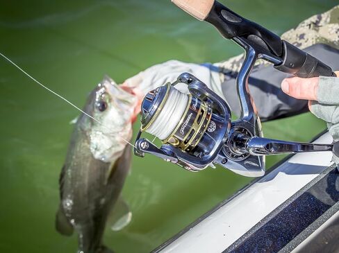Pflueger PRESSP20B President Spinning Fishing Reel in Saudi Arabia