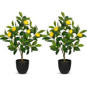 2Ft Artificial Lemon Trees, 2 Packs Large Artificial Plants Indoor with Black Pots Faux Potted Citrus Trees Fake Floor Plants Lemon Decorations for Home Living Room Office, Bedroom Table, Desk in Saudi Arabia
