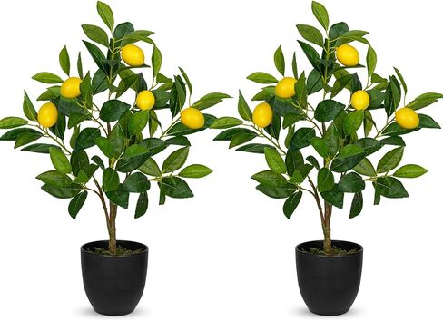 2Ft Artificial Lemon Trees, 2 Packs Large Artificial Plants Indoor with Black Pots Faux Potted Citrus Trees Fake Floor Plants Lemon Decorations for Home Living Room Office, Bedroom Table, Desk in Saudi Arabia