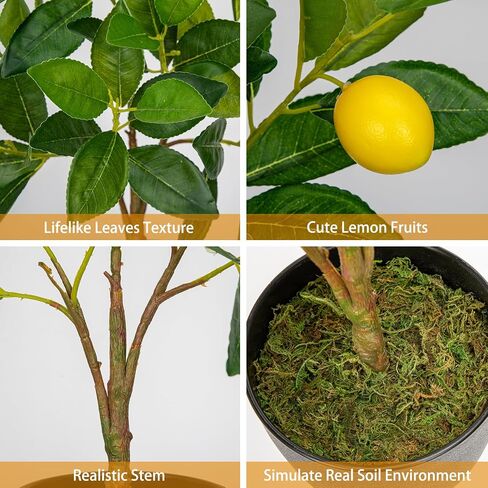 2Ft Artificial Lemon Trees, 2 Packs Large Artificial Plants Indoor with Black Pots Faux Potted Citrus Trees Fake Floor Plants Lemon Decorations for Home Living Room Office, Bedroom Table, Desk in Saudi Arabia