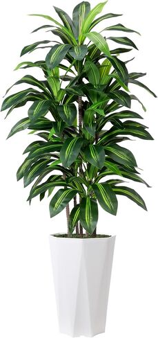 Artificial Dracaena Tree 5FT - Faux Plant with Black Diamond Planter - Tall Fake Tropical Yucca Floor Plant Potted - Artificial Silk Tree for Home Office Living Room Decor Indoor in Saudi Arabia