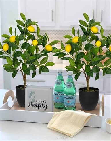 2Ft Artificial Lemon Trees, 2 Packs Large Artificial Plants Indoor with Black Pots Faux Potted Citrus Trees Fake Floor Plants Lemon Decorations for Home Living Room Office, Bedroom Table, Desk in Saudi Arabia