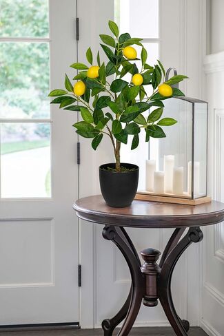 2Ft Artificial Lemon Trees, 2 Packs Large Artificial Plants Indoor with Black Pots Faux Potted Citrus Trees Fake Floor Plants Lemon Decorations for Home Living Room Office, Bedroom Table, Desk in Saudi Arabia