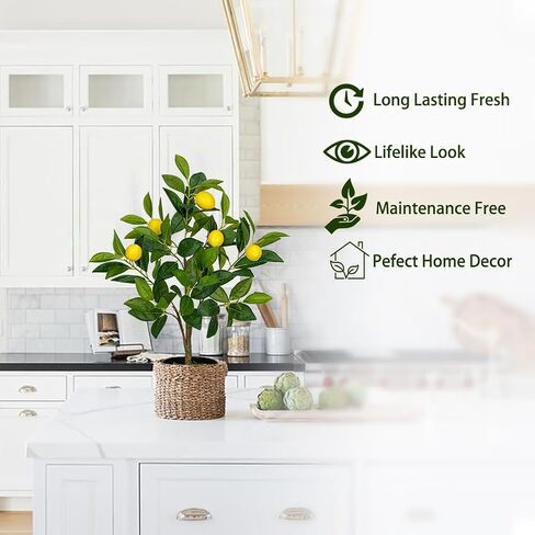 2Ft Artificial Lemon Trees, 2 Packs Large Artificial Plants Indoor with Black Pots Faux Potted Citrus Trees Fake Floor Plants Lemon Decorations for Home Living Room Office, Bedroom Table, Desk in Saudi Arabia
