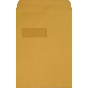 مظاريف نافذة مفتوحة من LUXPaper مقاس 9 × 12 | براون كرافت | 28 رطل. نص | 50 الكمية