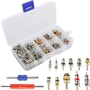 DIKKING R134A R12 A/C HVAC Air Complementer Schrader STEM STEM Tool (102pcs)