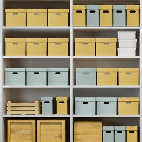 Lineco, RTA Record Storage Carton, 12x15x10 Inch, Archival Acid-Free Buffered Double Layered Panels, No Adhesive or Tools Needed (Pack of 5) Tan in Saudi Arabia