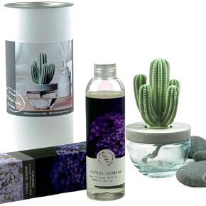 Reed Diffuser Set, Pretty Valley Home Gypsum Cactus Fragrance Diffuser-Cutting Grass 3.38 fl oz (100 ml), Home Fragrance Reed Diffuser for Bathroom Office Living Room Decor
