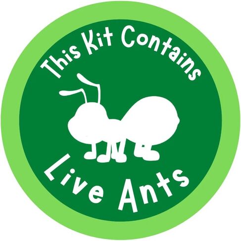 Insect Lore Tube of Ants - Ant Habitat Refill in Kuwait
