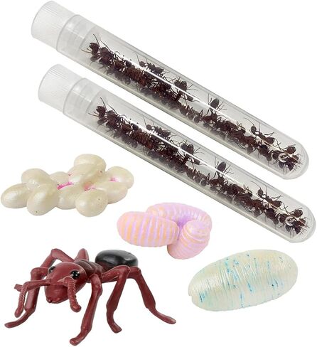 Insect Lore Tube of Ants - Ant Habitat Refill in Kuwait
