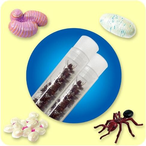 Insect Lore Tube of Ants - Ant Habitat Refill in Kuwait