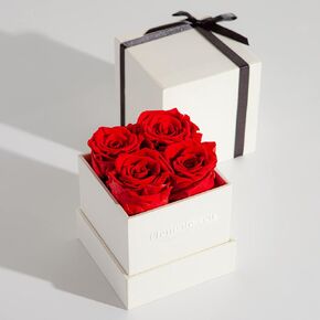 Fleur de Zen Eternity Roses | Gift-Ready Preserved Roses in a Box | Mothers Day Gifts for Her
