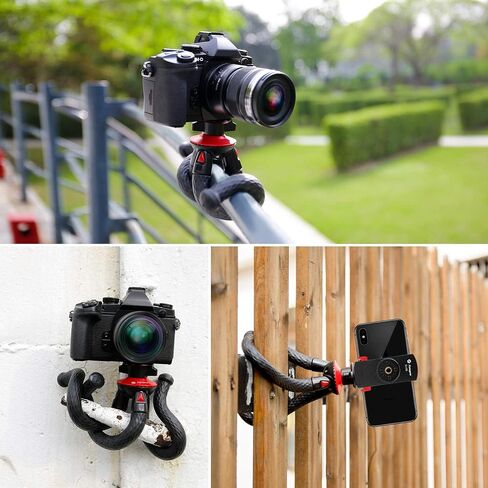 8'' Selfie Ring Light with Flexible Handheld Tripod, Fotopro LED Ring Light with Desktop Phone Tripod and Phone Holder Remote for Live Streaming Conference Video Recording Makeup Selfie in Saudi Arabia