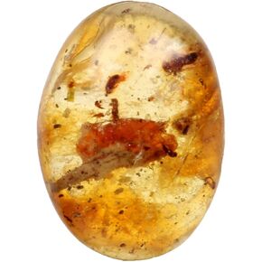 REAL-GEMS Genuine Myanmar Amber Stone Oval Shape with Fossils Insects Inclusions