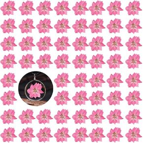 60pcs زهور Larkspur Red المجففة لقالب الراتنج ، زهور دلفينيوم حقيقية ، الزهور الجافة لفن الراتنج DIY Craft Making Candle Making