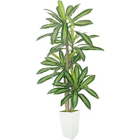 Artificial Dracaena Tree 5ft, Fake Plant with White Tall Planter, Faux Yucca Floor Trees, Artificial Silk Plants for Indoor Home Office Room Decor Housewarming Gift