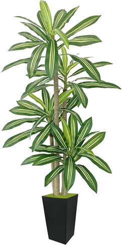 شجرة دراكاينا الاصطناعية 5 أقدام ، نبات مزيف مع زارع أبيض طويل القامة ، أشجار الأرضية اليوكا فو ، نباتات الحرير الاصطناعية للمكاتب المنزلية الداخلية ديكور هدية المنزل in Kuwait