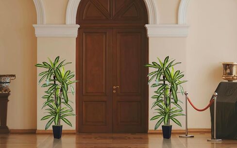 شجرة دراكاينا الاصطناعية 5 أقدام ، نبات مزيف مع زارع أبيض طويل القامة ، أشجار الأرضية اليوكا فو ، نباتات الحرير الاصطناعية للمكاتب المنزلية الداخلية ديكور هدية المنزل in Kuwait