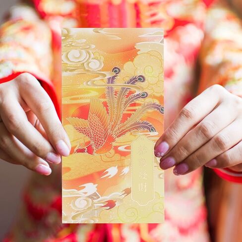 NOLITOY 24pcs Chinese Red Envelopes,Lucky Money Gift Envelopes, 2024 Chinese New Year Spring Festival Red Packets for New Year, Birthday, Wedding, Festivals in Saudi Arabia