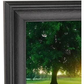 إطار الصورة 11x29 إطار الصورة الصلبة الخشب الأسود 11x29 ملصقات إطار 11x29 بوصة الإطارات البانورامية ، بما في ذلك الأجهزة المعلقة (F23B1129)