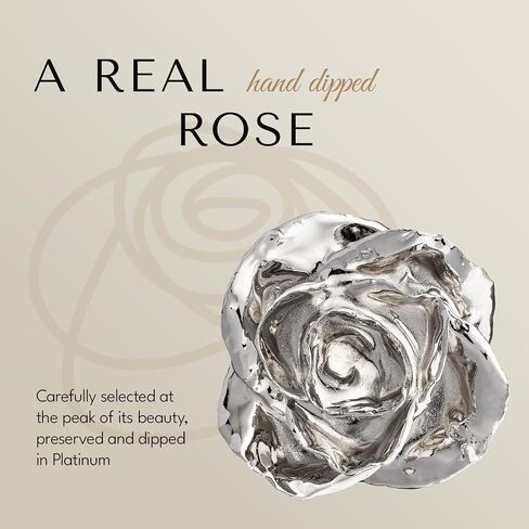 Rose Rose Rose Forever Rose Rose في البلاتين ، وردة محفوظة مصنوعة يدويًا في حالة عرض جلدية فاخرة مع ضوء LED ، هدية رومانسية لها ، أو تذكار أنيقة للذكرى السنوية ، أو عيد ميلاد ، أو أي مناسبة in Kuwait