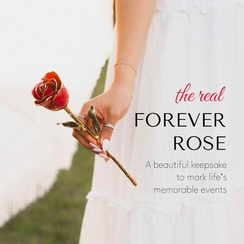 Rose Rose Rose Forever Rose Rose في البلاتين ، وردة محفوظة مصنوعة يدويًا في حالة عرض جلدية فاخرة مع ضوء LED ، هدية رومانسية لها ، أو تذكار أنيقة للذكرى السنوية ، أو عيد ميلاد ، أو أي مناسبة in Kuwait