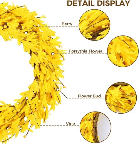 20 '' Forsythia Wreath Spring Spring Summer Fall With Winter Breatts for Bride Bate with Berries Silk Oree Wreath for Porch Farmhouse Patio Garden Window Decord Outdoor Home Decor (الأصفر) in Kuwait