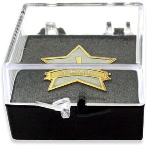 PinMart's 1 Year of Service Star Lapel Pin with Clear Gift Box - 10 Pack