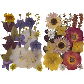 Dried Pressed Flowers for Crafts Resin DIY Art 40pcs Natural Dry Floral Colorful Epoxy Jewelry Real Rose Decor Cakes Bookmarks Phone Cases Candles Handmade Soap Papermaking