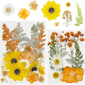 Cayway 40 PCS Natural Dried Pressed Flowers, Pink Natural Dried Pressed Leaves, Natural Dry Flowers Leaves for Pressed Leaf Art Craft DIY Embellishment Decorations