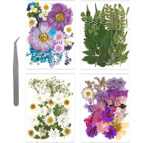 Rbenxia 100pcs مجففة الزهور المجففة الأزهار المجففة مجففة أوراق الفراغ معبأة معبأة الزهور مع ملاقط لشمعة صابون الصابون الحرف اليدوية لصنع بطاقة الكلام