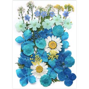 Pressed Flowers Bulk Dried Flowers for Resin Molds, 38pcs Mixed Natural Purple Dried Floral DIY Art Accessories for Craft, Soap Making Candle Making