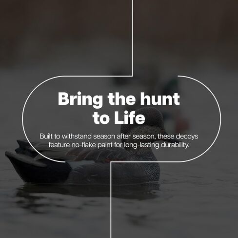 Avian-X Topflight Gadwall أفخاخ صيد البط العائمة المتينة والواقعية للغاية، عبوة من 6 قطع، AVX8085 in Kuwait