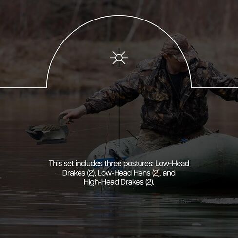 Avian-X Topflight Gadwall أفخاخ صيد البط العائمة المتينة والواقعية للغاية، عبوة من 6 قطع، AVX8085 in Kuwait