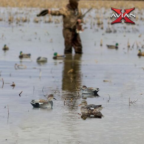 Avian-X Topflight Gadwall أفخاخ صيد البط العائمة المتينة والواقعية للغاية، عبوة من 6 قطع، AVX8085 in Kuwait