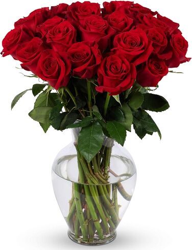 باقات القياس - 24 STEM Premium Rainbow Roses (مزهرية زجاجية شملت) - الزهور الطازجة للتسليم - هدية للتخرج ، عيد ميلاد ، الذكرى ، التعاطف ، الحصول على ما يرام ، تهانينا in Saudi Arabia