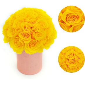 Anlunob 20 Green Roses Forever Flowers Gift for Women Mother Day Home Flower Hights for Mom Hilming for Women