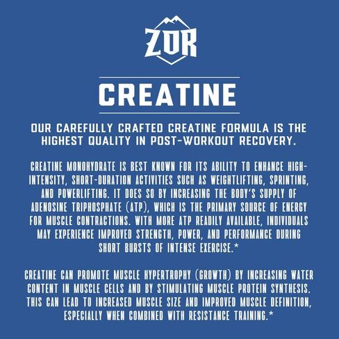 ZOR Micronized Creatine 5000 mg-يدعم أداء التدريب ، ويعزز التدريبات عالية الكثافة ، ويعزز القوة والقوة ، ونمو العضلات ، والانتعاش بعد التمرين-خالية من الغلوتين ، خالية من السكر ، غير المعدلة وراثيا in Saudi Arabia