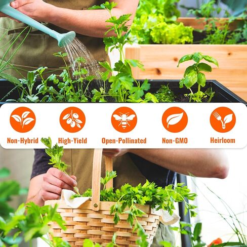 Open Seed Vault 15,000 Heirloom Seeds Non GMO Organic for Planting Vegetables & Fruits (32 Variety Pack) - Survival Gear Food, Gardening Gifts, Emergency Supplies - Premium Quality, High Yield Produce in Saudi Arabia
