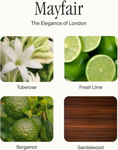The Scented Candle, Luxury Candle with Vegan, Soy Wax Blend, Mayfair, 7.5 Oz in Saudi Arabia