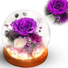 الورود المحفوظة ، الزهور المحفوظة ، الزهور الحقيقية في قبة زجاجية ، زهرة عيد ميلاد للنساء ، هدايا الورود الأرجواني لأمي جدة زوجة الأخت in Kuwait
