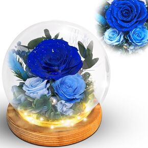 Preserved Roses, Preserved Flowers, Real Flowers in Glass Dome, Birthday Flower for Women, Purple Roses Gifts for Mom Grandma Wife Daughter Sister